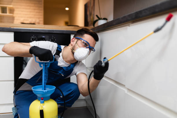 Best Pest Control Treatment  in Farmersville, TX