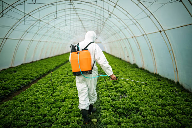 Best Pest Control Near Me in Farmersville, TX