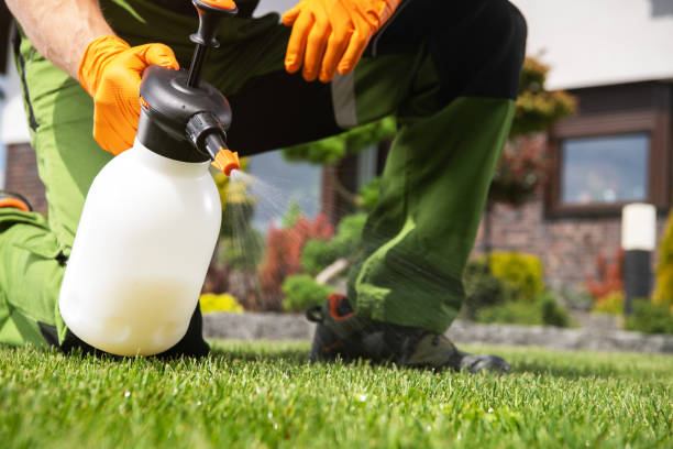 Best Cockroach Control Services  in Farmersville, TX