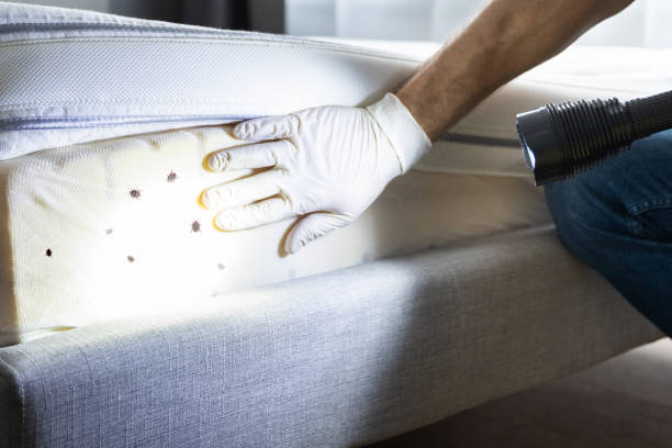 Best Best Pest Control Near Me  in Farmersville, TX