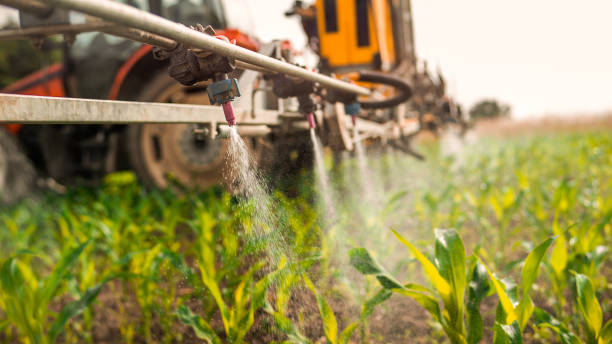 Best Pest Control Near Me  in Farmersville, TX